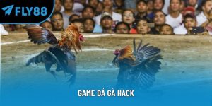 game đá gà hack